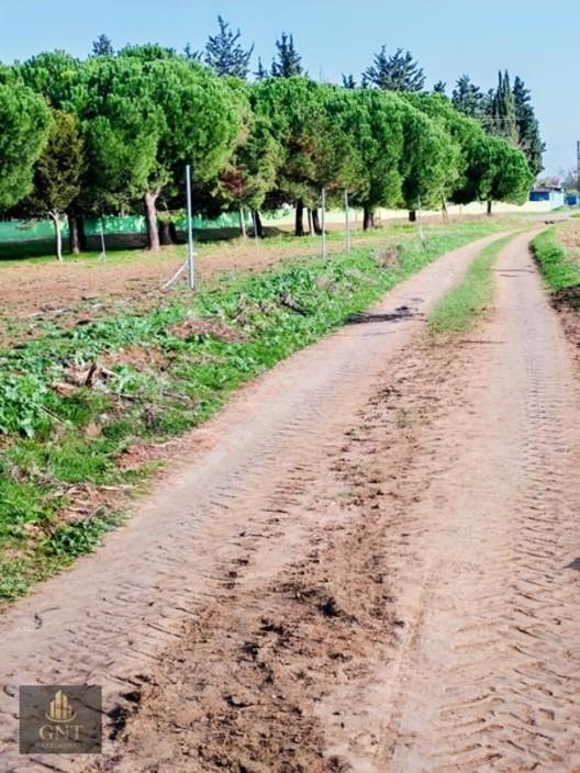 Tekirdağ Marmara Ereğlisi Bahçelievlerde Etrafı Çevrili 189 M2 — fotoğraf 7