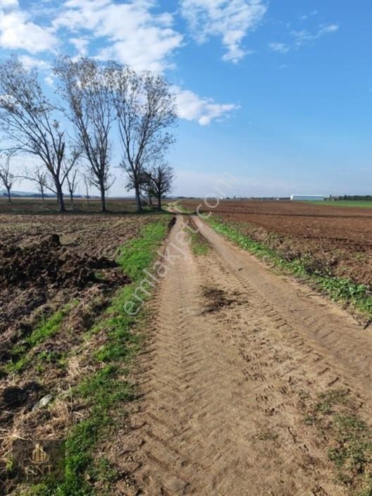Tekirdağ Marmara Ereğlisi Bahçelievlerde Etrafı Çevrili 189 M2 — fotoğraf 9