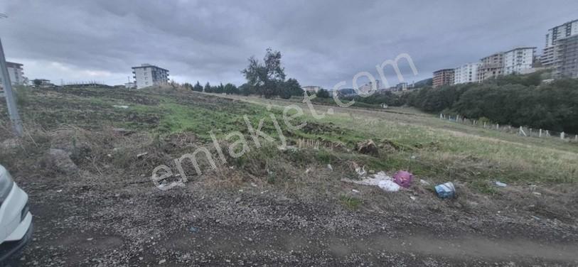 Atakum Buyukoyumcada Deniz Manzaralı Satılık Arsa — fotoğraf 13