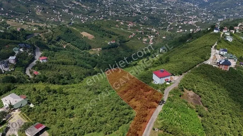 Royal'den Doğançay Da Deniz Manzaralı 2.150m2 Arsa — fotoğraf 2