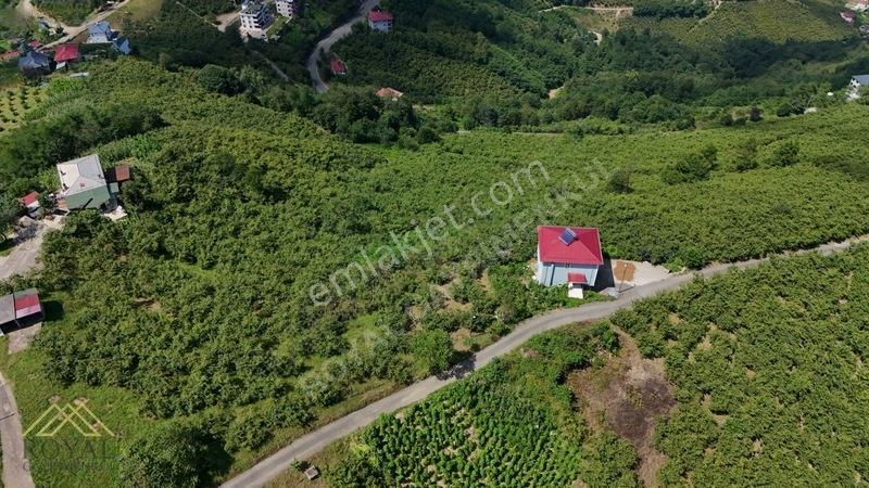 Royal'den Doğançay Da Deniz Manzaralı 2.150m2 Arsa — fotoğraf 3