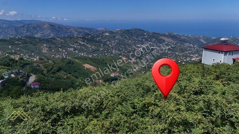 Royal'den Doğançay Da Deniz Manzaralı 2.150m2 Arsa — fotoğraf 4