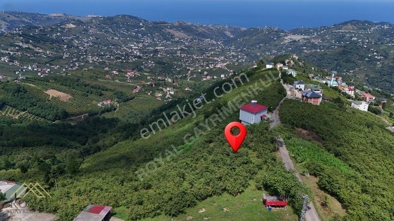 Royal'den Doğançay Da Deniz Manzaralı 2.150m2 Arsa — fotoğraf 6