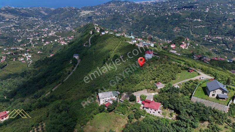 Royal'den Doğançay Da Deniz Manzaralı 2.150m2 Arsa — fotoğraf 8