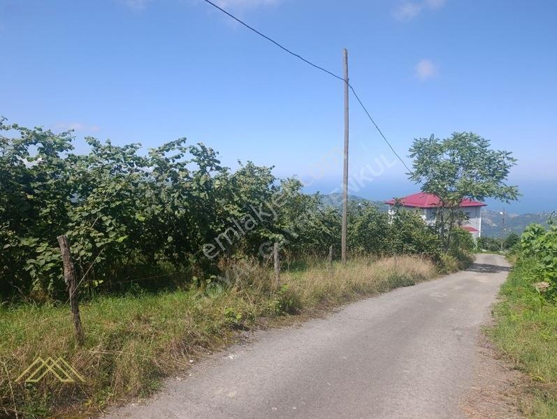 Royal'den Doğançay Da Deniz Manzaralı 2.150m2 Arsa — fotoğraf 9