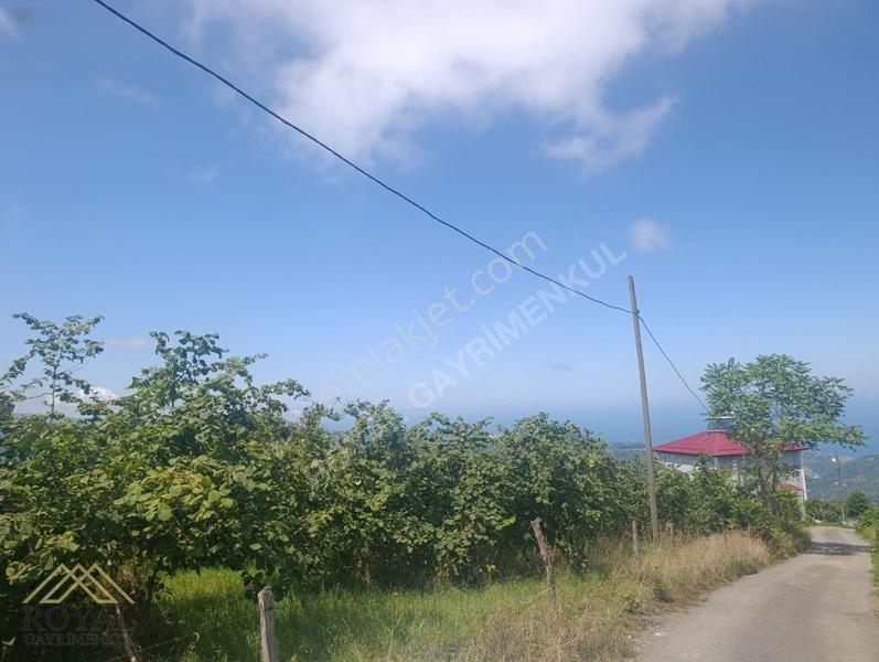 Royal'den Doğançay Da Deniz Manzaralı 2.150m2 Arsa — fotoğraf 11