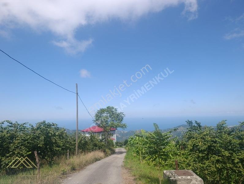 Royal'den Doğançay Da Deniz Manzaralı 2.150m2 Arsa — fotoğraf 12