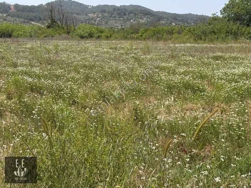 Ege Emlaktan Gökova Kızılyakada Satılık Tarla — fotoğraf 4