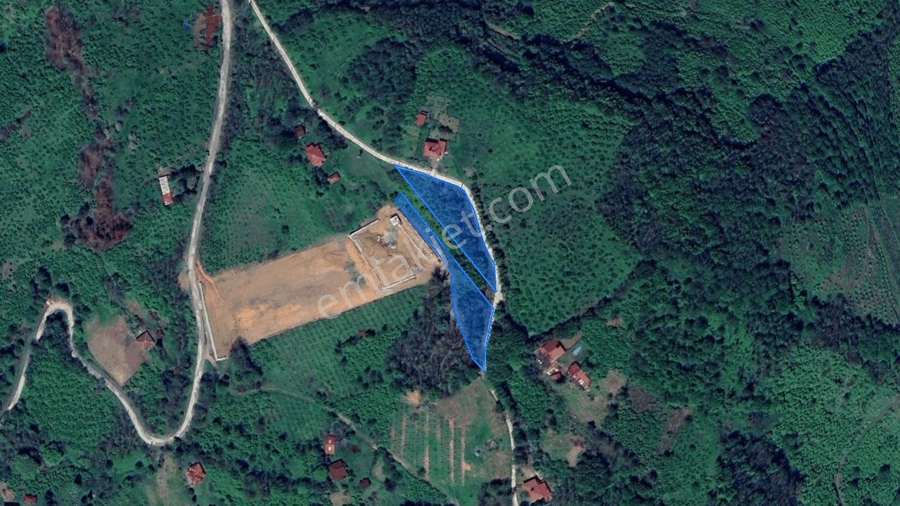 Perşembe Tarlacık'Ta Yola Cepheli, Yan Yana 2 Parsel | 3.064 M²