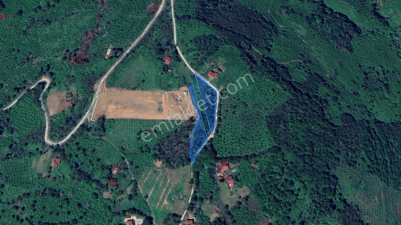 Perşembe Tarlacık'ta Yola Cepheli, Yan Yana 2 Parsel | 3.064 M² — fotoğraf 2