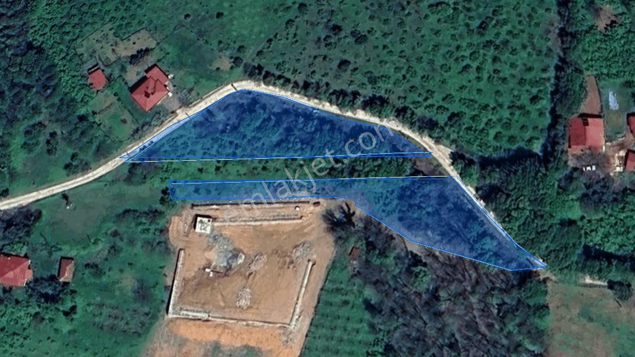 Perşembe Tarlacık'ta Yola Cepheli, Yan Yana 2 Parsel | 3.064 M² — fotoğraf 3