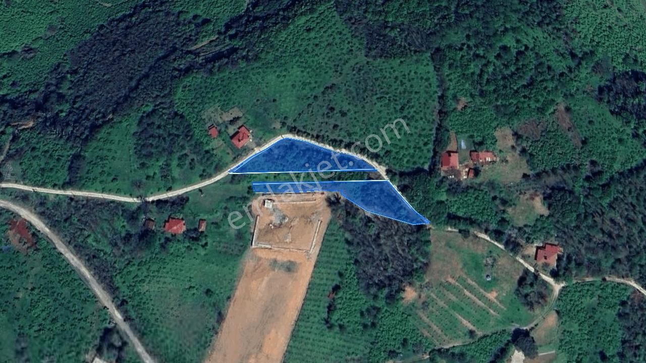 Perşembe Tarlacık'ta Yola Cepheli, Yan Yana 2 Parsel | 3.064 M² — fotoğraf 4