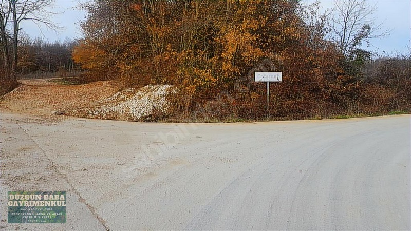 Düzgün Babadan Ana Asfalta Cephe Villa Ve Ev Yapmaya Hazır Tarla — fotoğraf 5