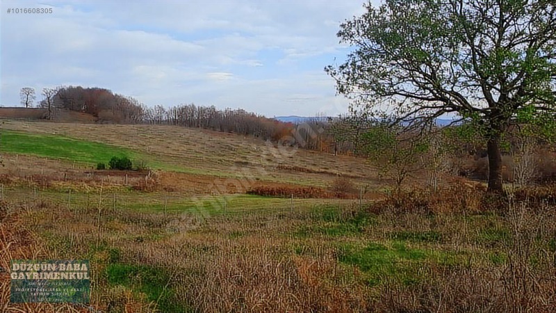 Düzgün Babadan Ana Asfalta Cephe Villa Ve Ev Yapmaya Hazır Tarla — fotoğraf 9