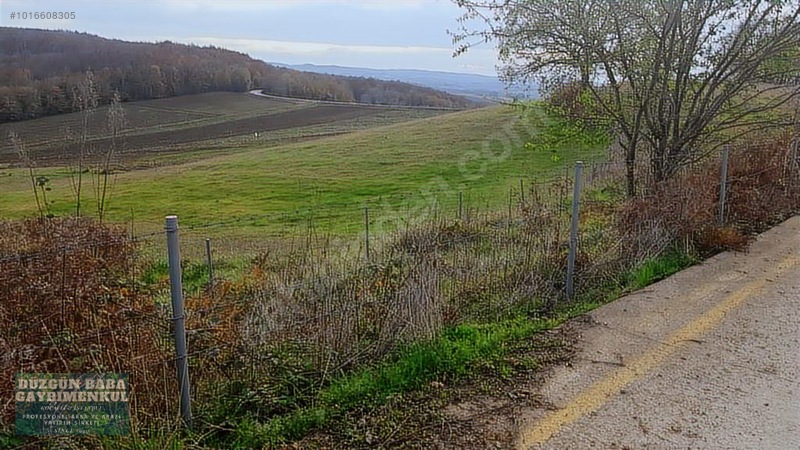 Düzgün Babadan Ana Asfalta Cephe Villa Ve Ev Yapmaya Hazır Tarla — fotoğraf 12