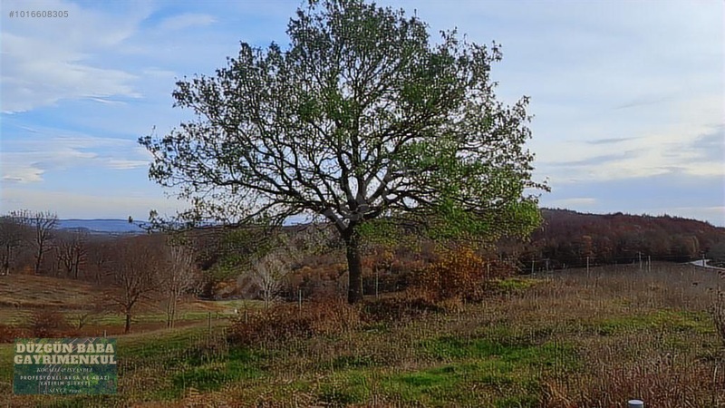 Düzgün Babadan Ana Asfalta Cephe Villa Ve Ev Yapmaya Hazır Tarla — fotoğraf 15