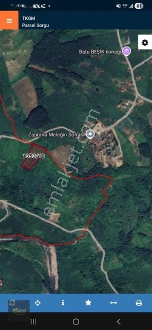 Mabelden Acil Satılık Doğa Manzaralı Tarla