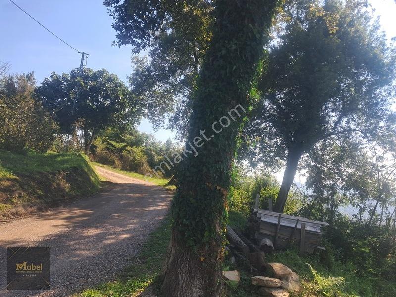 Mabelden Acil Satılık Doğa Manzaralı Tarla — fotoğraf 3