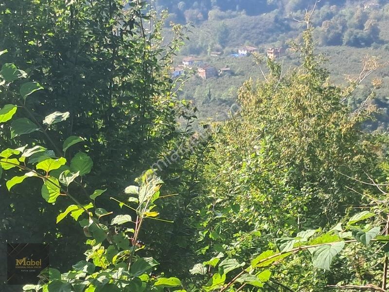 Mabelden Acil Satılık Doğa Manzaralı Tarla — fotoğraf 5