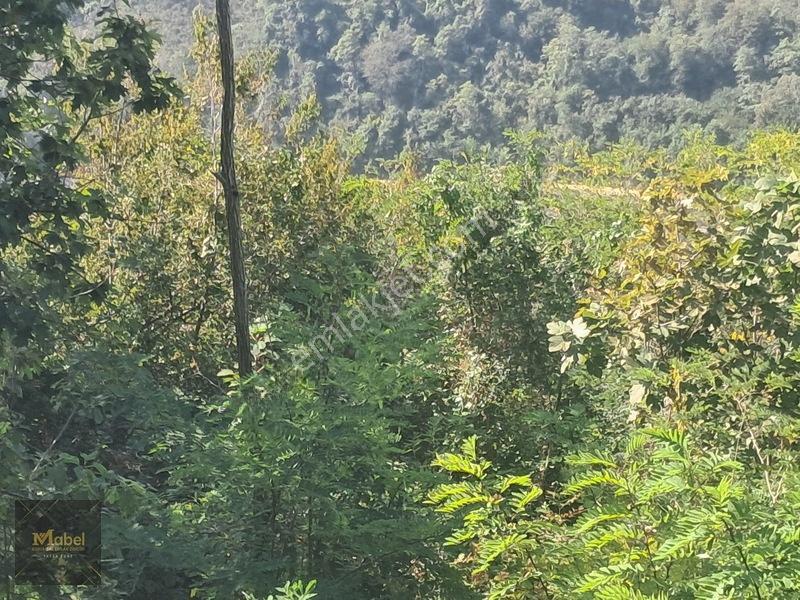 Mabelden Acil Satılık Doğa Manzaralı Tarla — fotoğraf 6