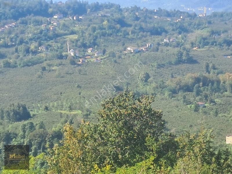 Mabelden Acil Satılık Doğa Manzaralı Tarla — fotoğraf 7