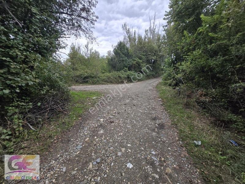 Girişimciden Doğrugözde 1.440 M2 Yol Cepheli Hobi Bahçesi