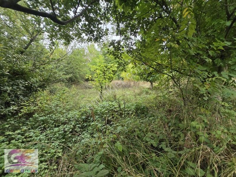 Girişimciden Doğrugözde 1.440 M2 Yol Cepheli Hobi Bahçesi — fotoğraf 3