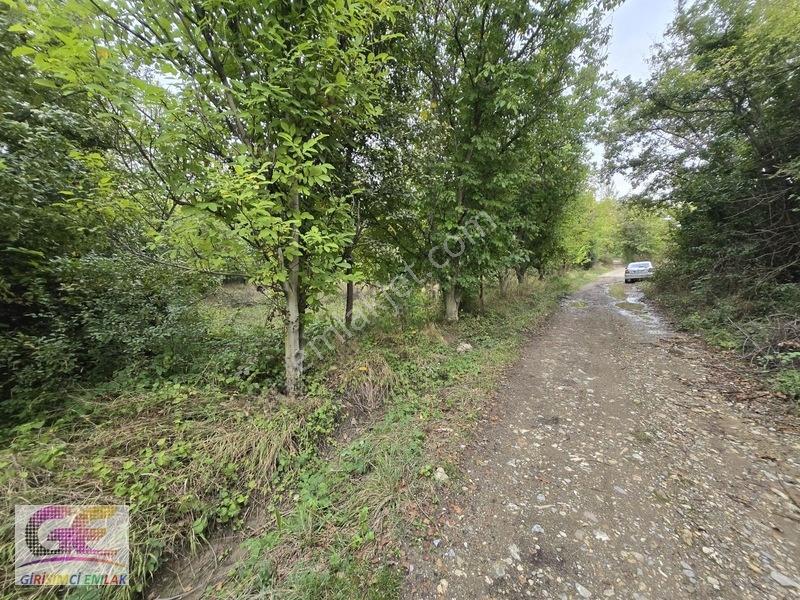 Girişimciden Doğrugözde 1.440 M2 Yol Cepheli Hobi Bahçesi — fotoğraf 4