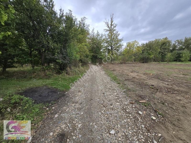 Girişimciden Doğrugözde 1.440 M2 Yol Cepheli Hobi Bahçesi — fotoğraf 5