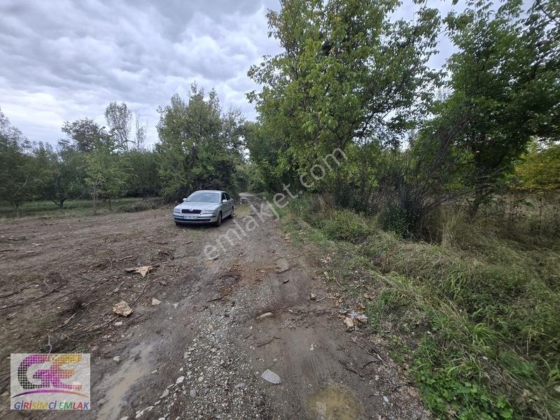 Girişimciden Doğrugözde 1.440 M2 Yol Cepheli Hobi Bahçesi — fotoğraf 6