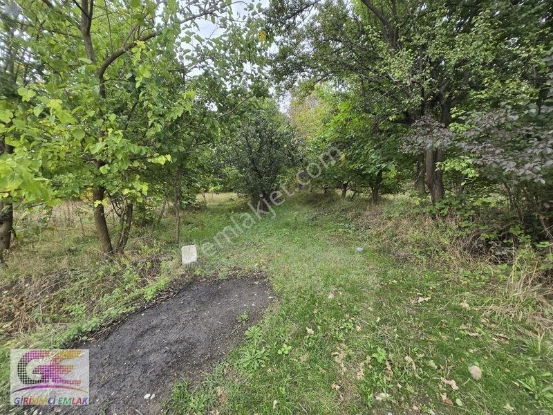 Girişimciden Doğrugözde 1.440 M2 Yol Cepheli Hobi Bahçesi — fotoğraf 7