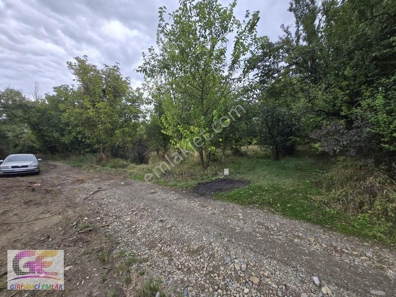 Girişimciden Doğrugözde 1.440 M2 Yol Cepheli Hobi Bahçesi — fotoğraf 8
