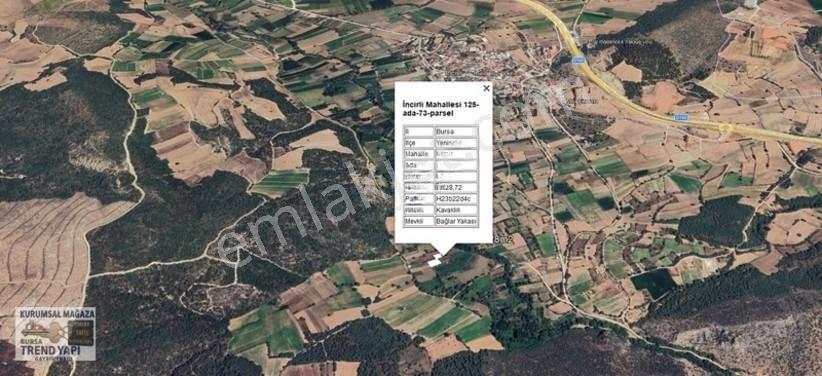 Bursa Yenişehir İncirlide Köye Yakın 1.229 M² Fırsat Tarla — fotoğraf 2