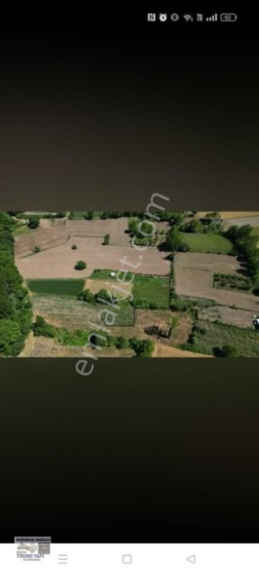 Bursa Yenişehir İncirlide Köye Yakın 1.229 M² Fırsat Tarla — fotoğraf 4