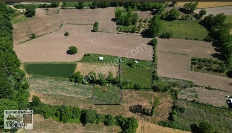 Bursa Yenişehir İncirlide Köye Yakın 1.229 M² Fırsat Tarla — fotoğraf 6