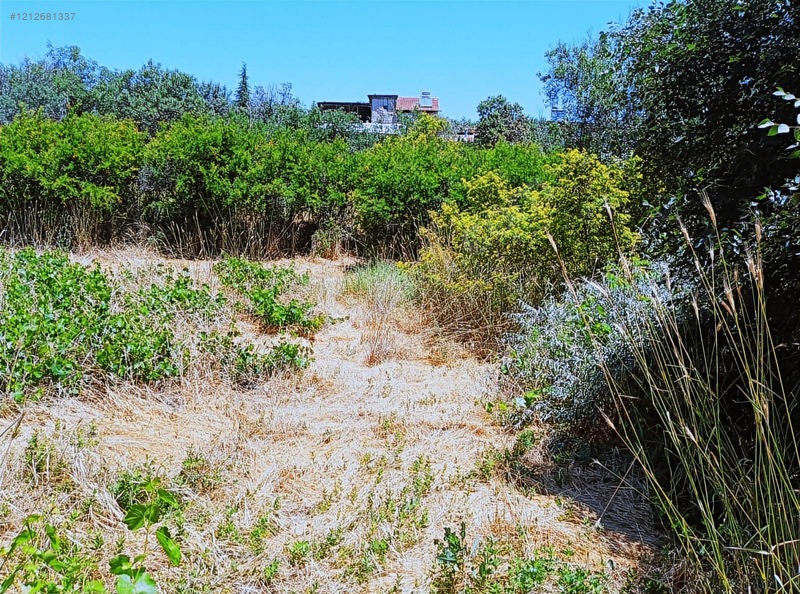 Ağın Merkezde Müstakil Bahçe — fotoğraf 4