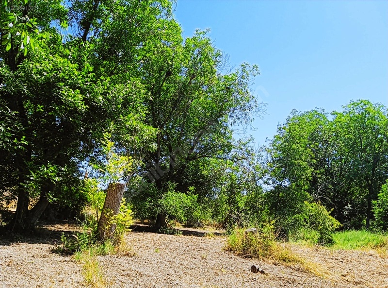 Ağın Merkezde Müstakil Bahçe — fotoğraf 6