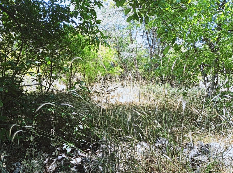 Ağın Merkezde Müstakil Bahçe — fotoğraf 7