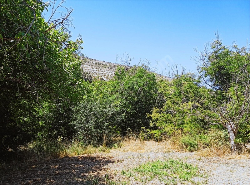 Ağın Merkezde Müstakil Bahçe — fotoğraf 10