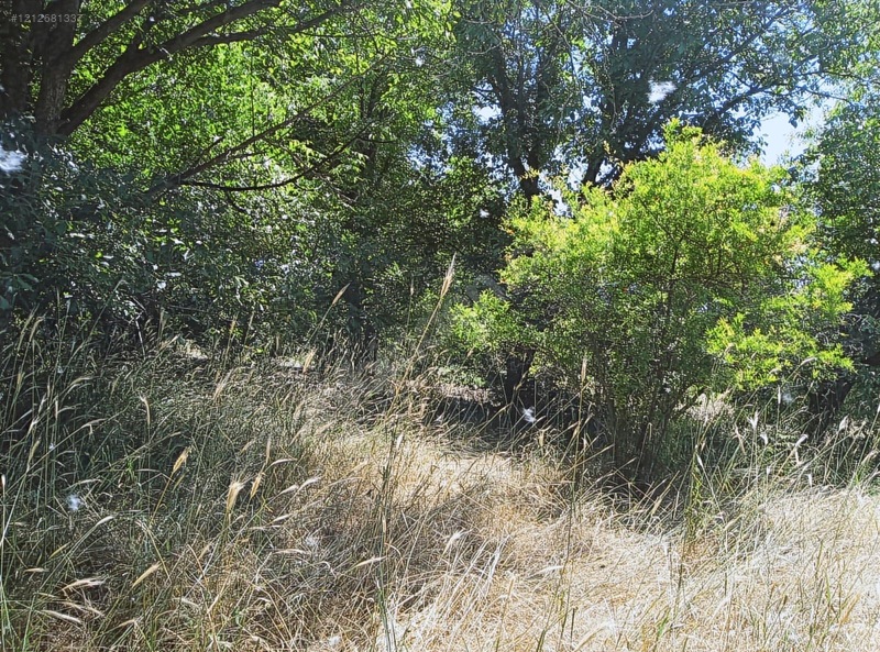 Ağın Merkezde Müstakil Bahçe — fotoğraf 11