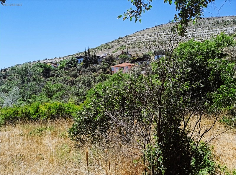 Ağın Merkezde Müstakil Bahçe — fotoğraf 12