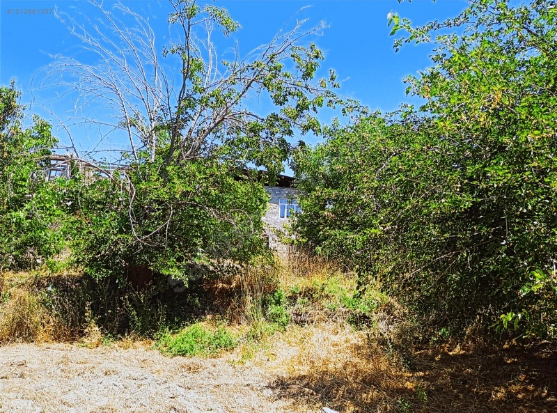 Ağın Merkezde Müstakil Bahçe — fotoğraf 13