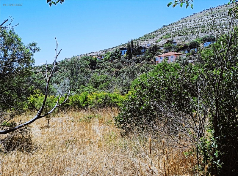 Ağın Merkezde Müstakil Bahçe — fotoğraf 17