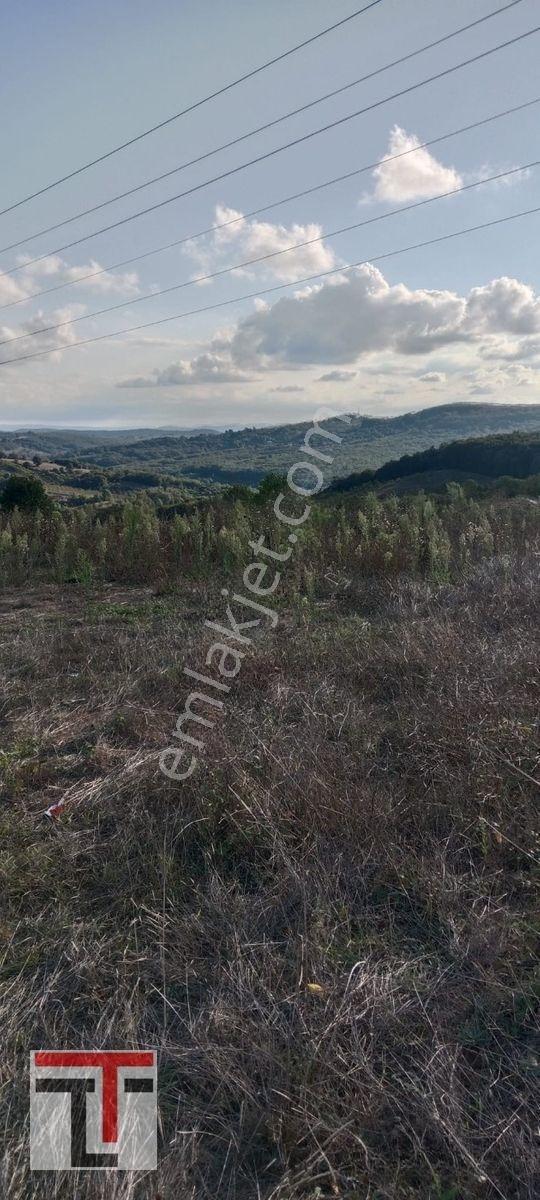 İzmit-kandıra Yeni Duble Yoluna Cephe Satılık Tarla. — fotoğraf 5