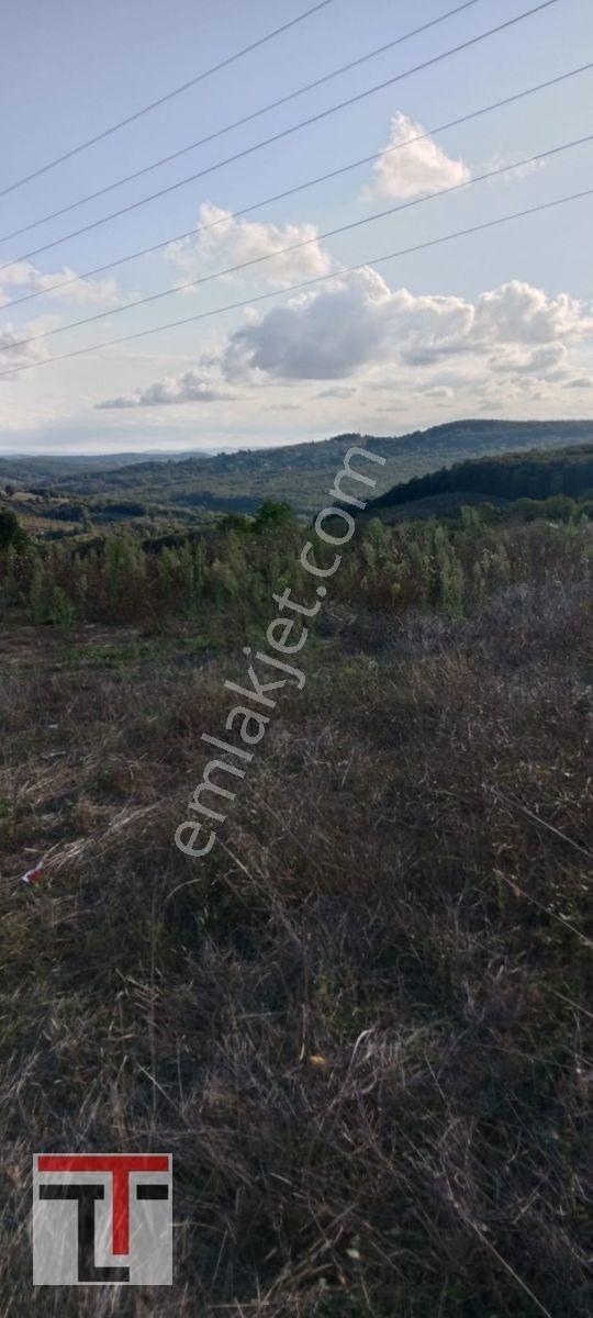 İzmit-kandıra Yeni Duble Yoluna Cephe Satılık Tarla. — fotoğraf 6