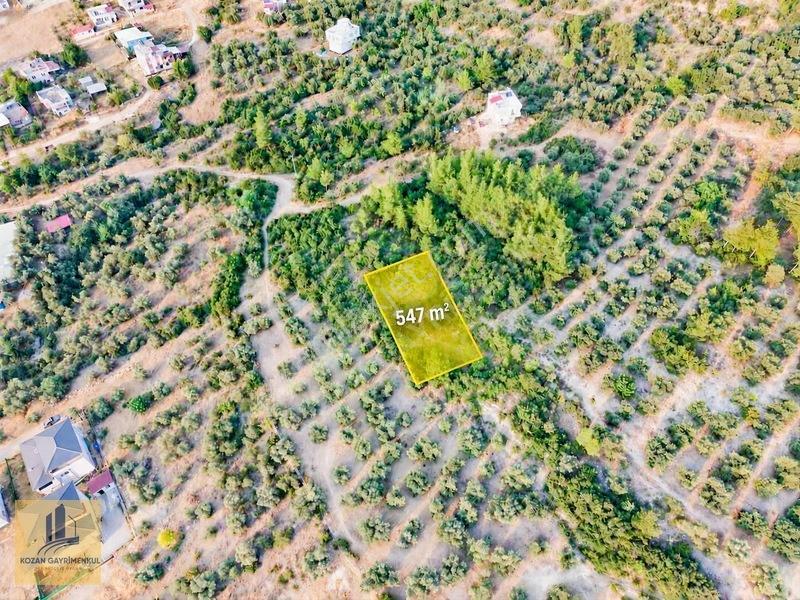 Kozan Gayrimenkulden Ağlıboğazda 547M2 Çok Cazıp Arsa