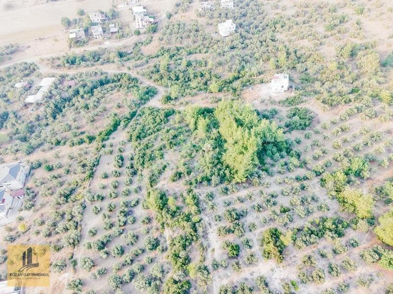 Kozan Gayrimenkulden Ağlıboğazda 547m2 Çok Cazıp Arsa — fotoğraf 5
