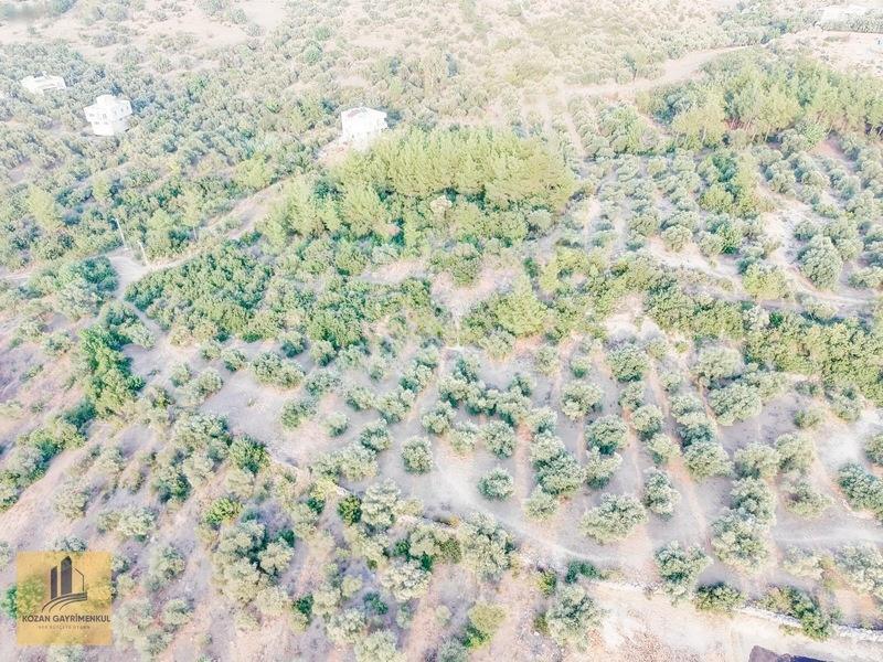 Kozan Gayrimenkulden Ağlıboğazda 547m2 Çok Cazıp Arsa — fotoğraf 6