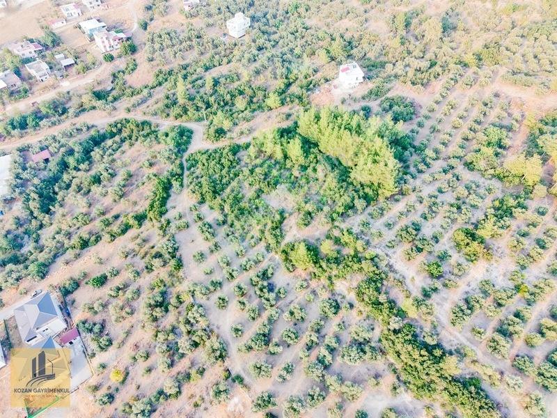 Kozan Gayrimenkulden Ağlıboğazda 547m2 Çok Cazıp Arsa — fotoğraf 7