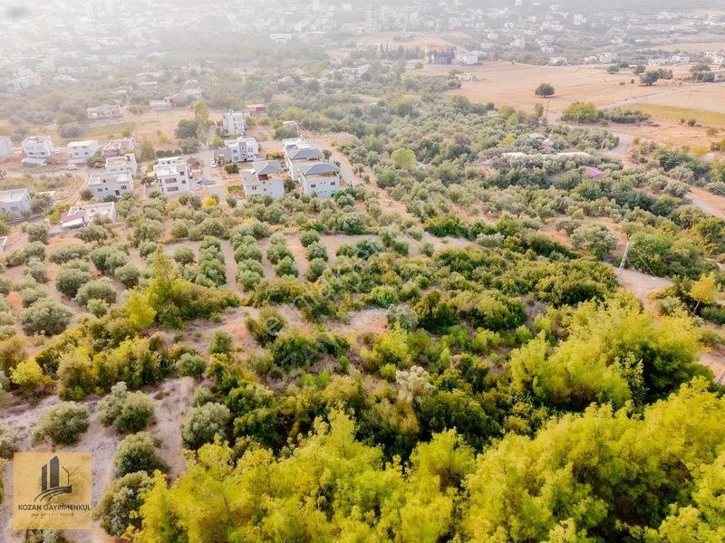Kozan Gayrimenkulden Ağlıboğazda 547m2 Çok Cazıp Arsa — fotoğraf 10